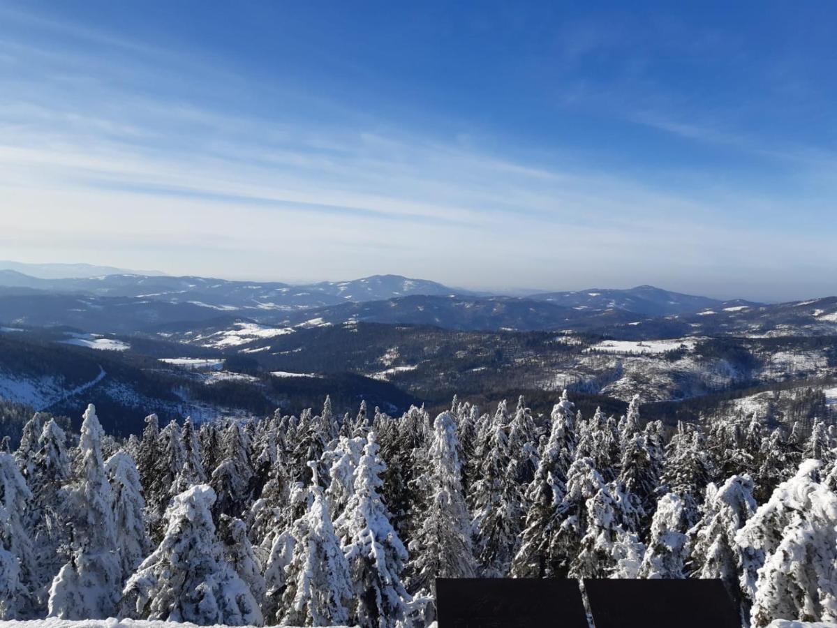 Chata Goralska Wojtasowka Kamesznica Luaran gambar