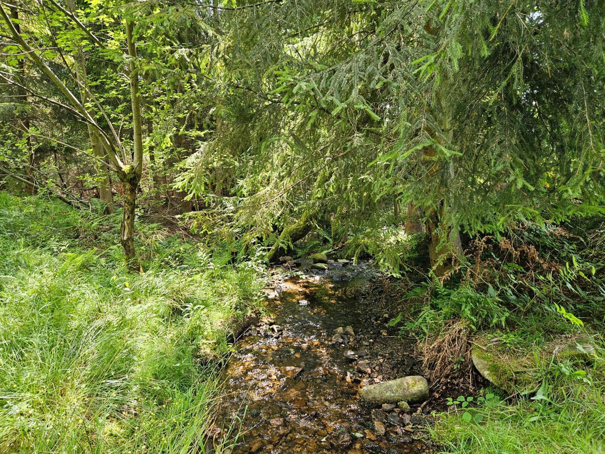 Chata Goralska Wojtasowka Kamesznica Luaran gambar