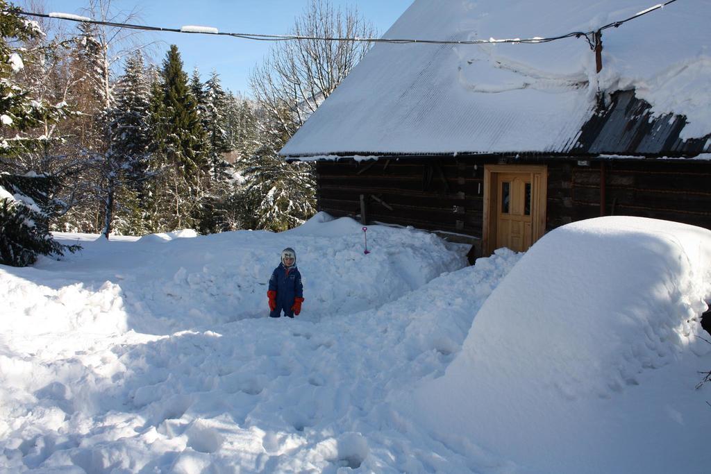 Chata Goralska Wojtasowka Kamesznica Luaran gambar