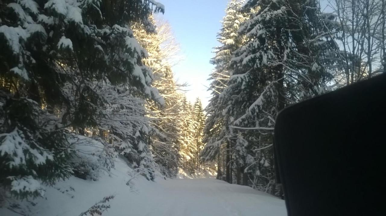Chata Goralska Wojtasowka Kamesznica Luaran gambar