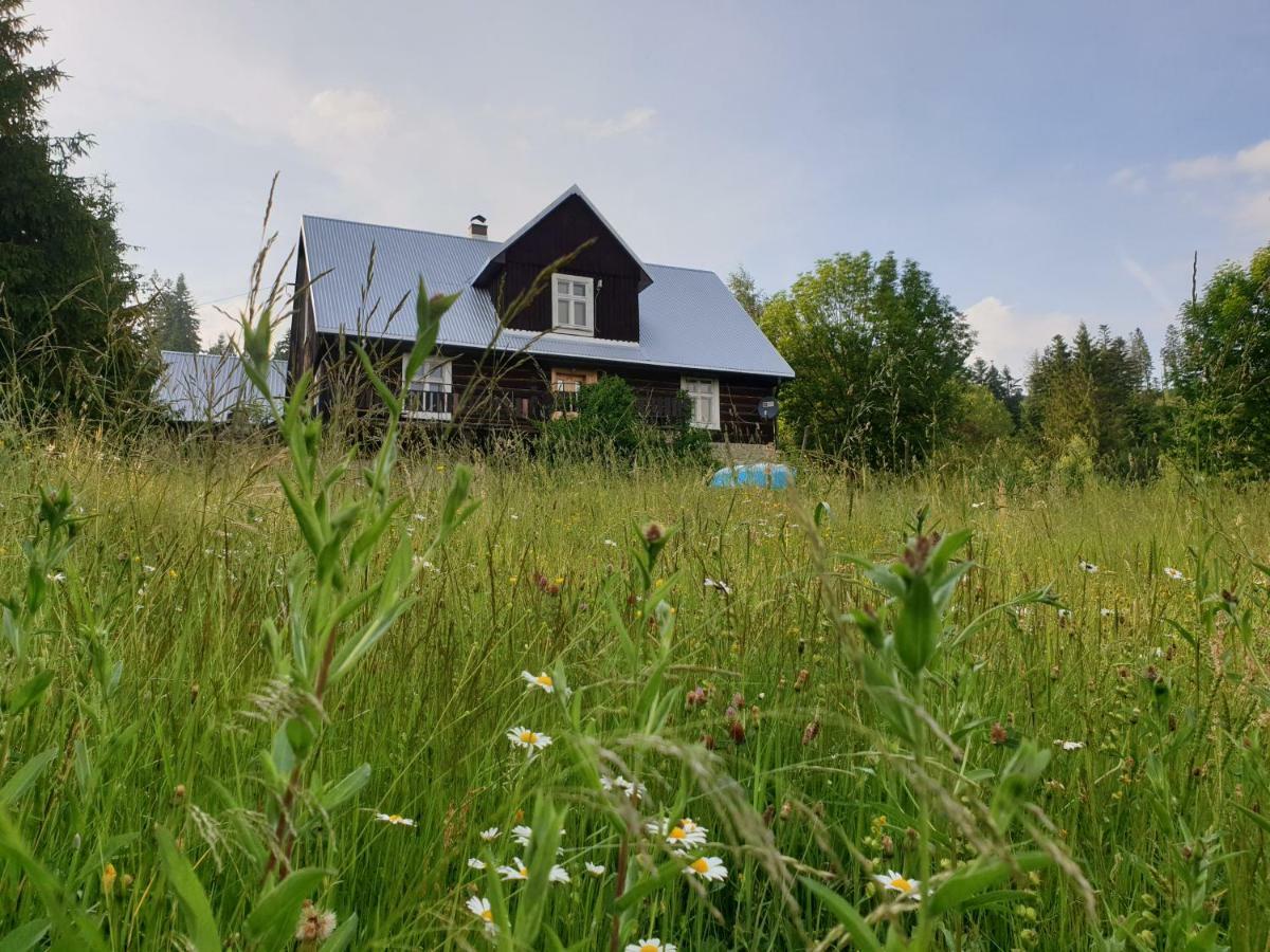 Chata Goralska Wojtasowka Kamesznica Luaran gambar